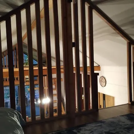 Forest View Chalet
