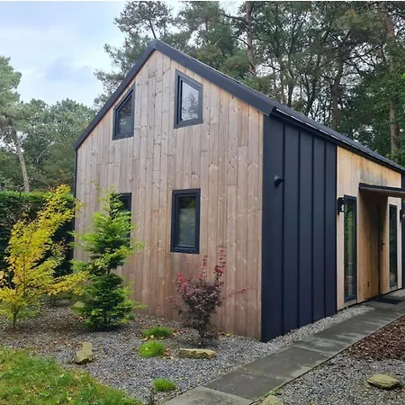 Forest View Chalet
