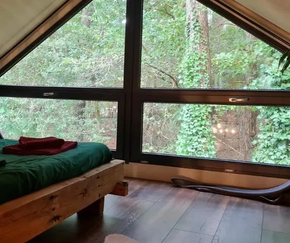 Σαλέ Forest View *