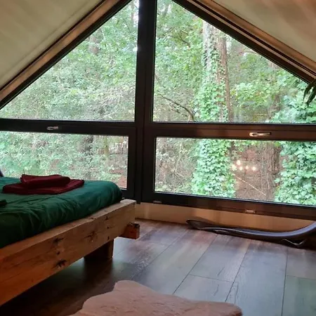 בקתה Forest View *